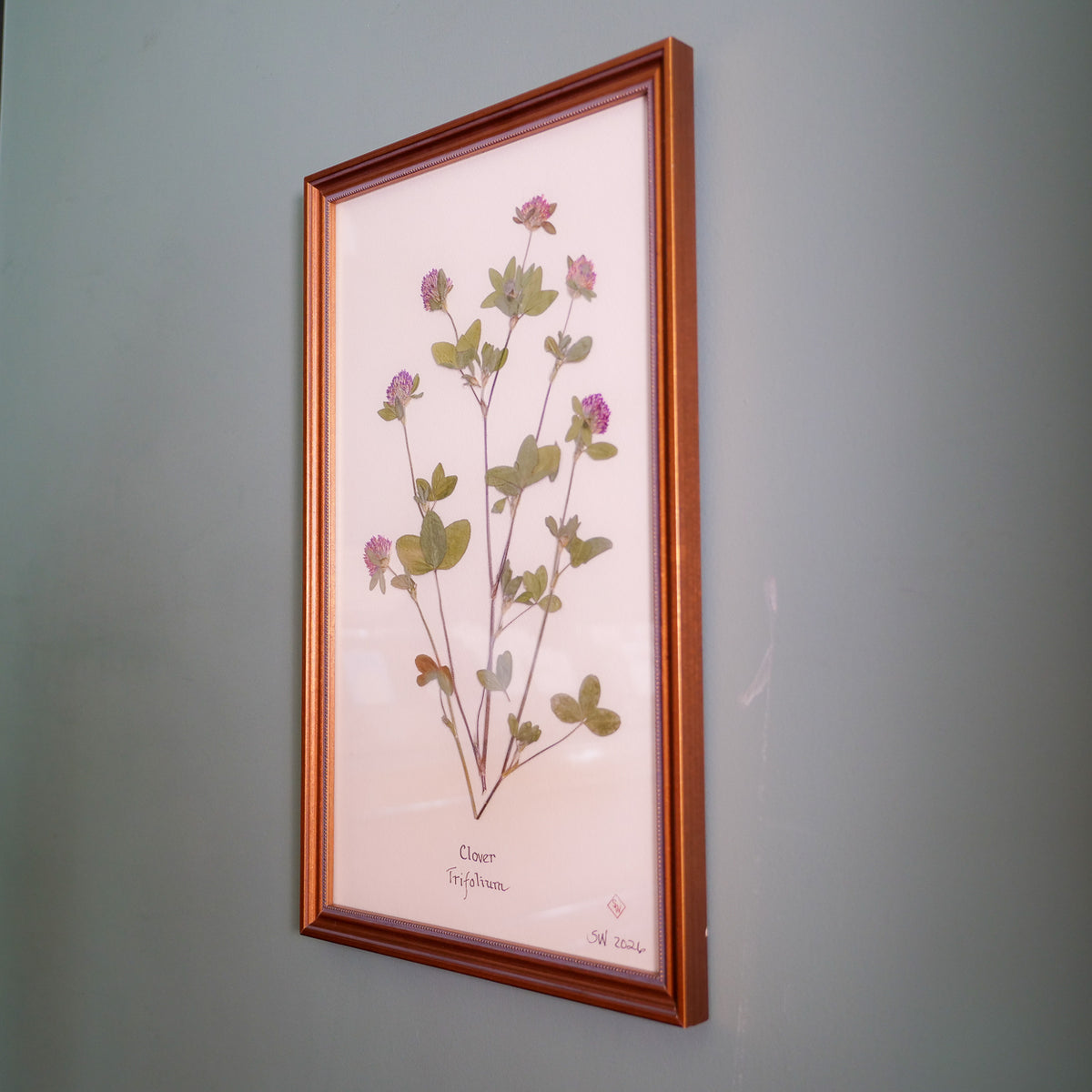 Clover Pressed Botanical