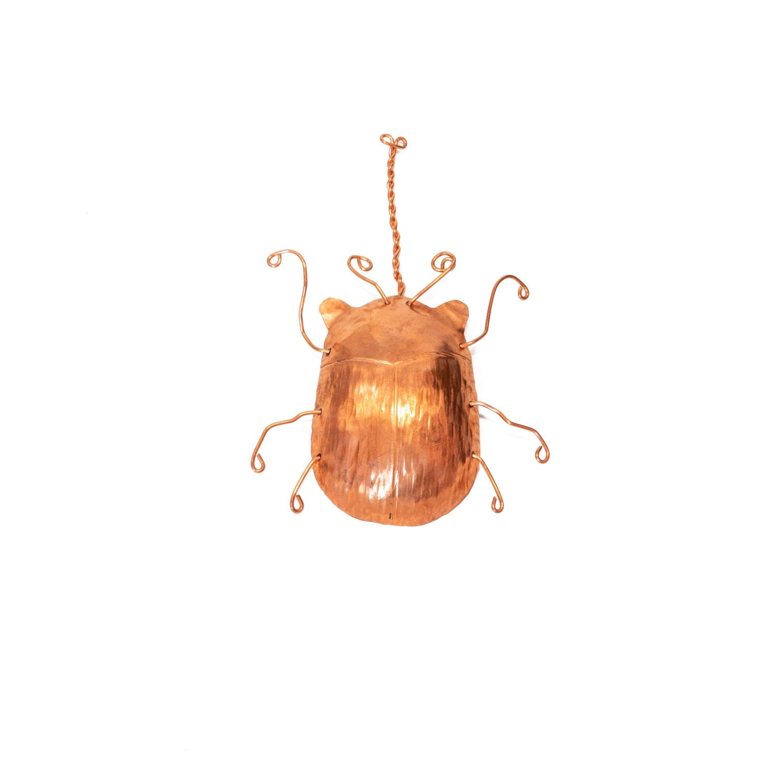 Copper Beetle