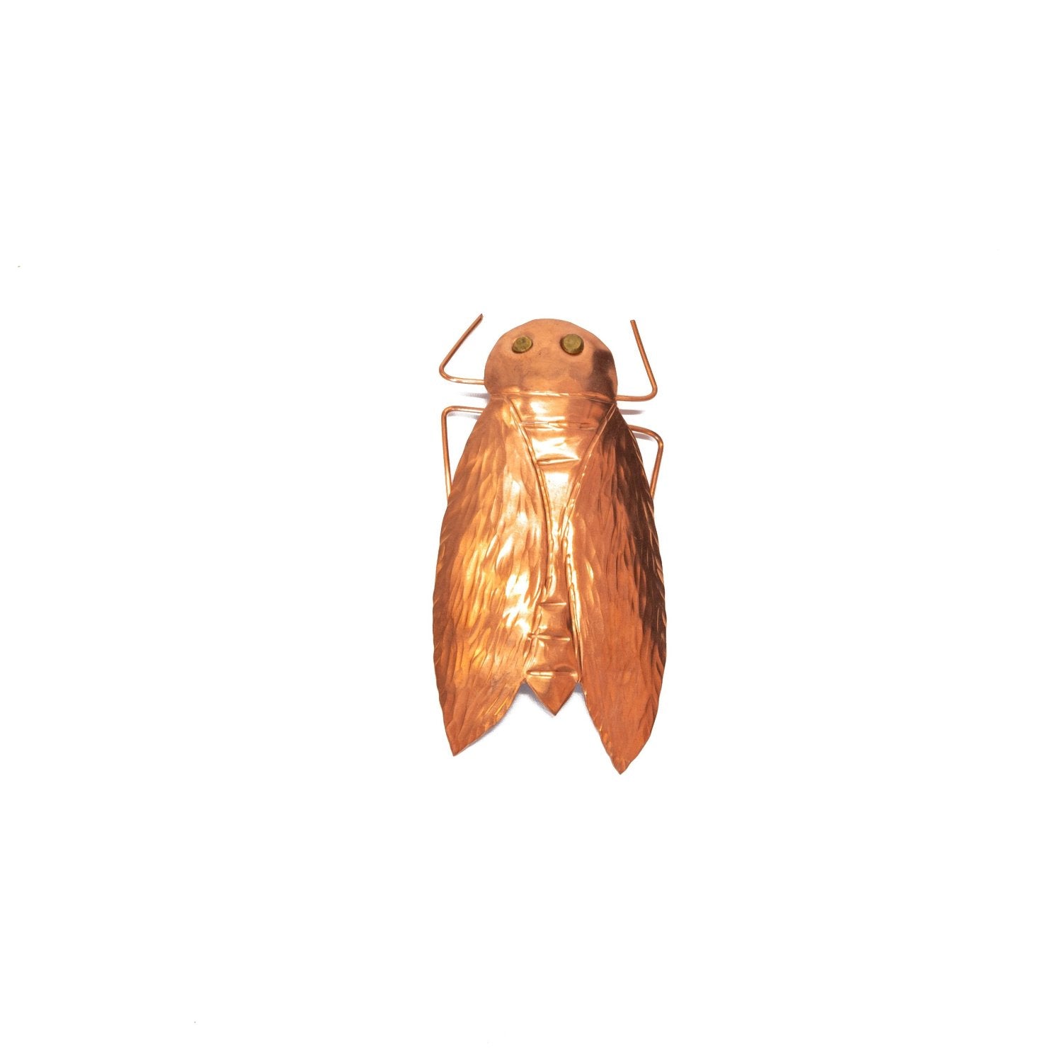 Copper Cicada