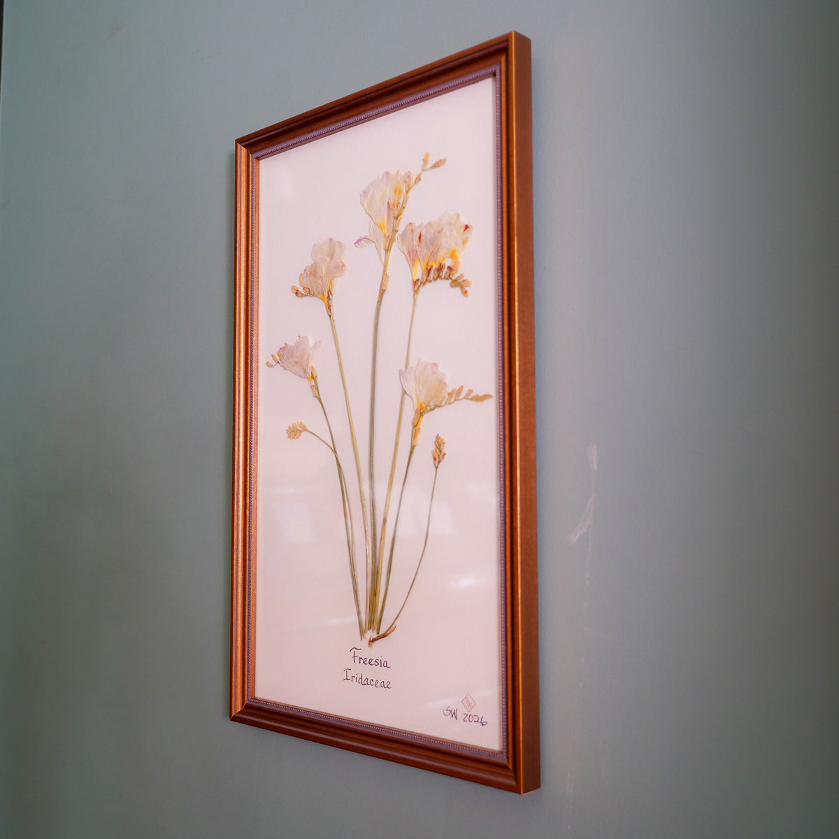 Freesia Pressed Botanical