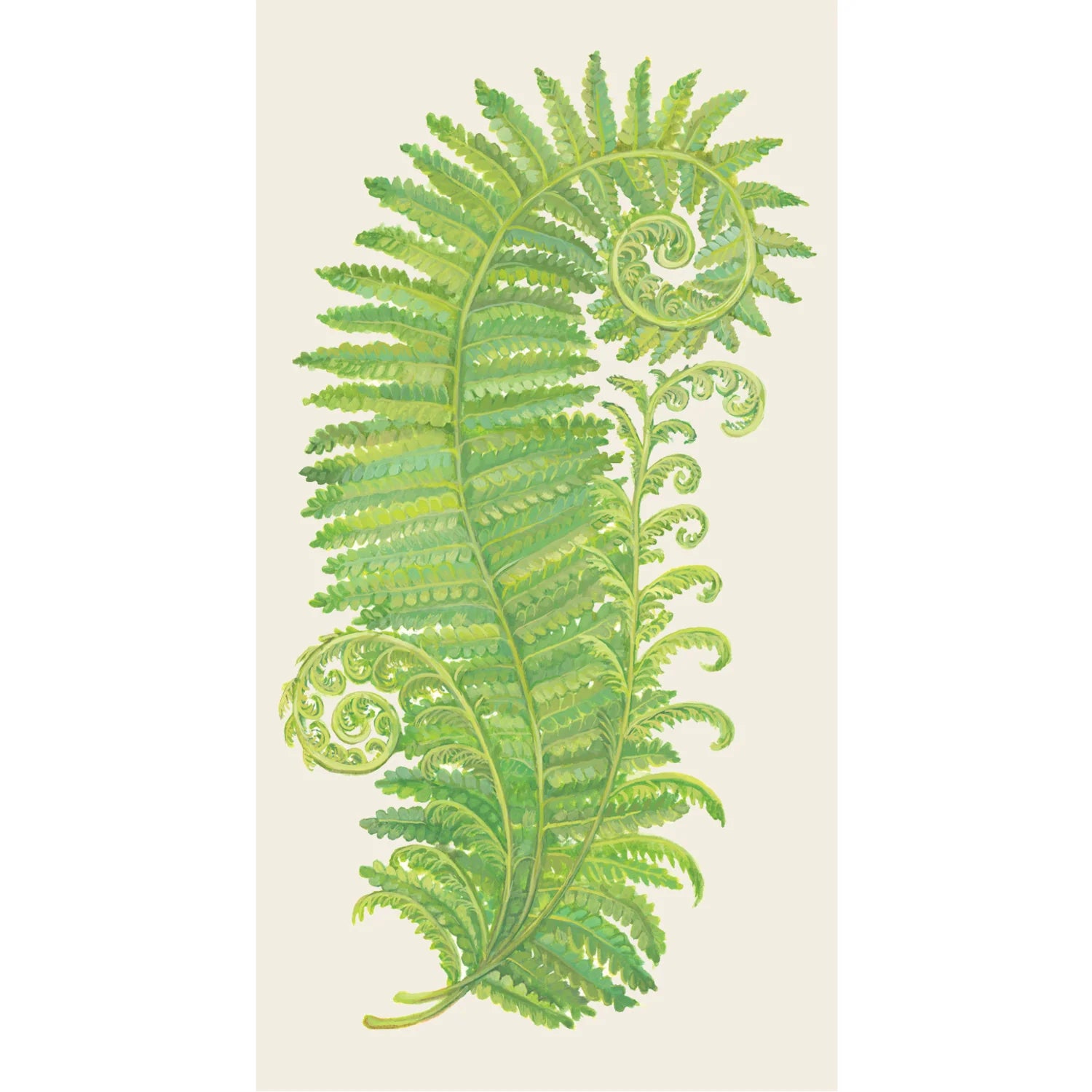 Fern Guest Napkins