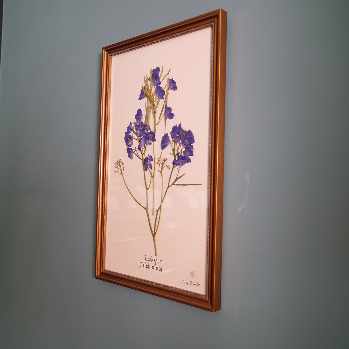 Larkspur Pressed Botanical