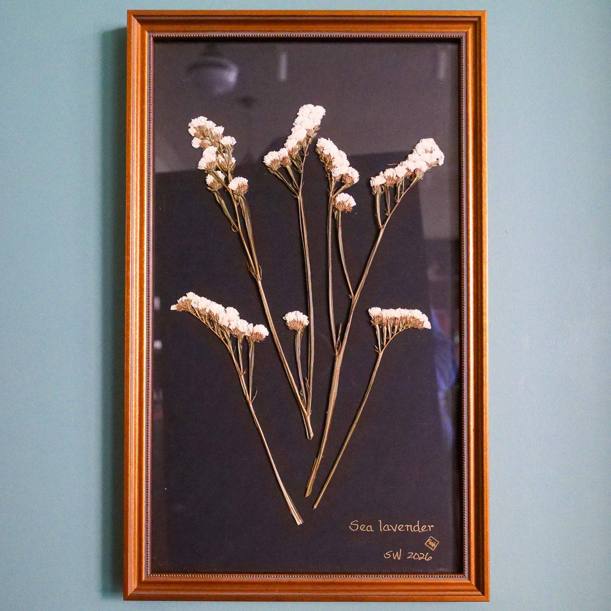 Pressed Botanical Sea Lavender on Black