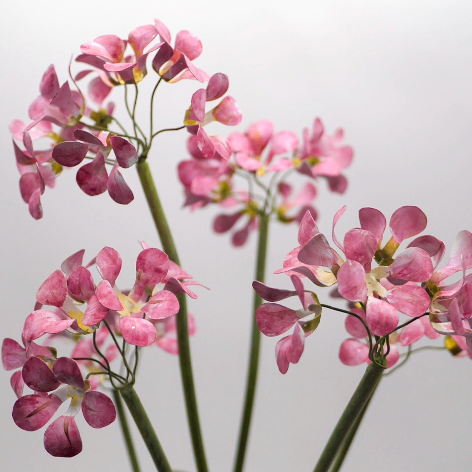 Tole Sculptural Flower -- Two-Stem Primula