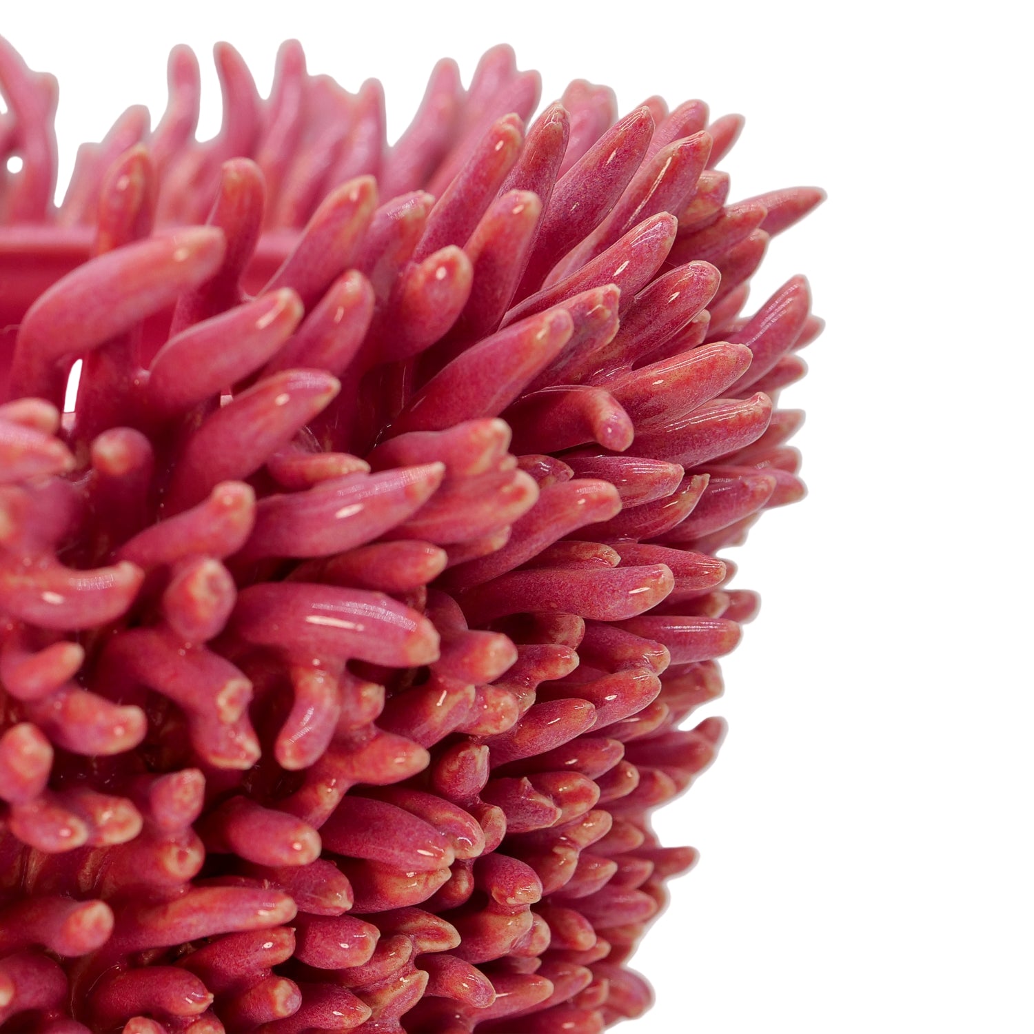 Sea Anemone Vase