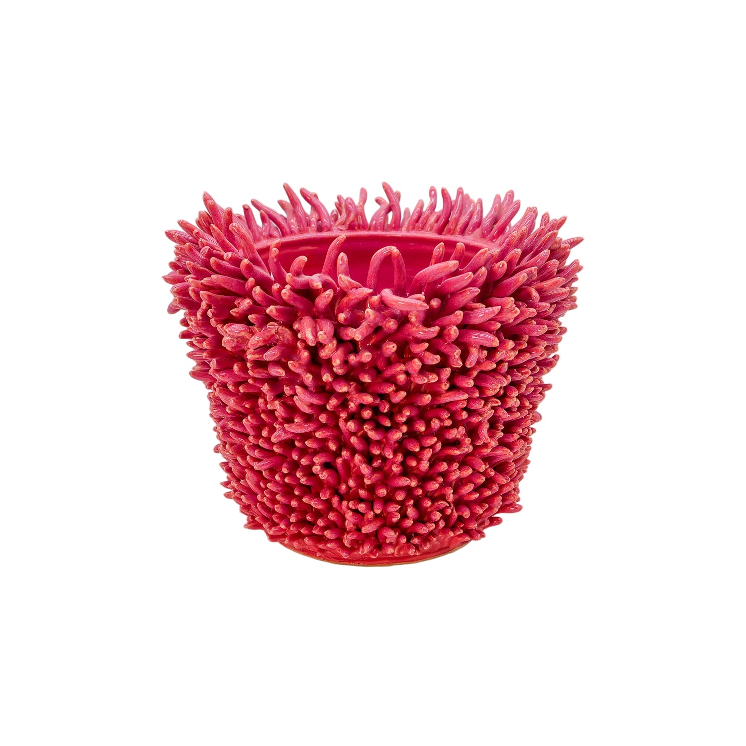 Sea Anemone Vase