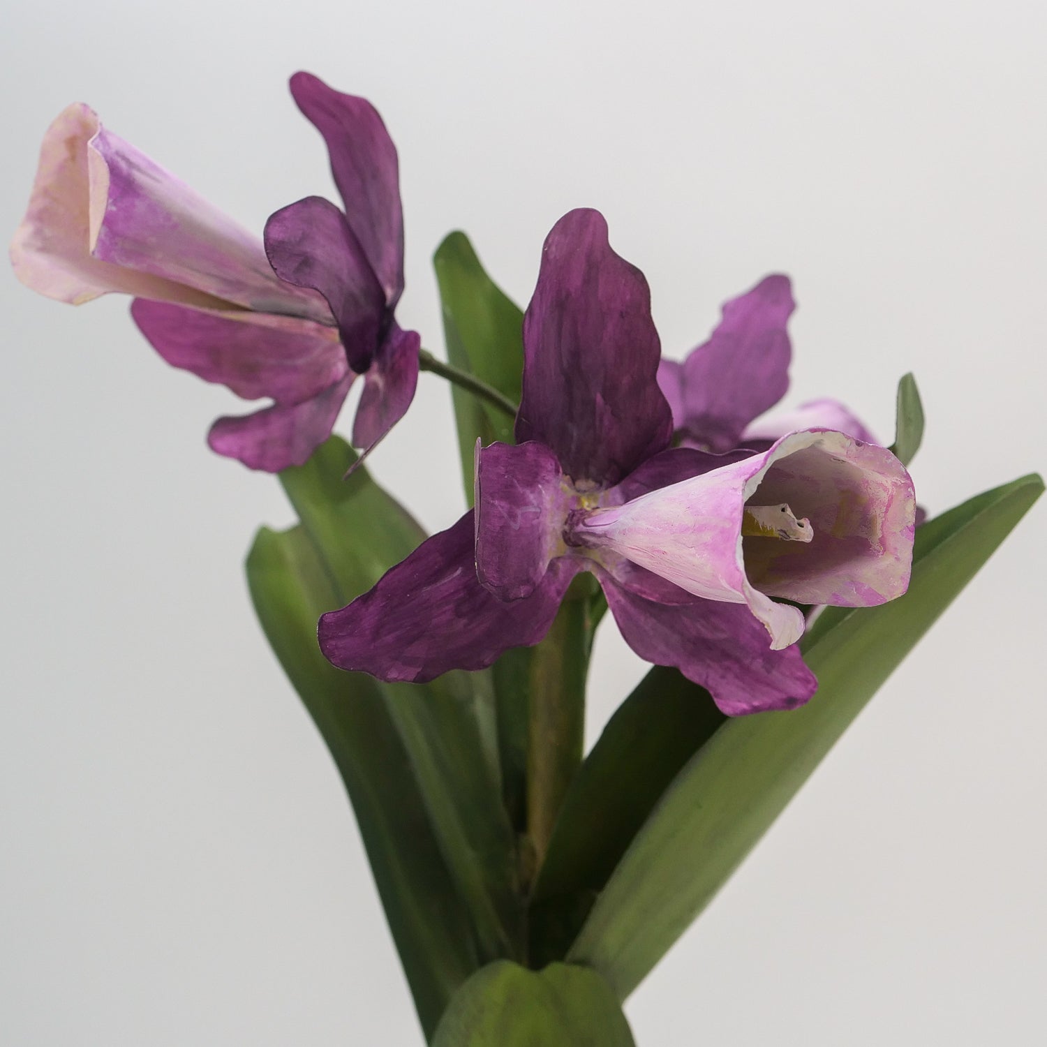 Purple Orchid in Clay Pot