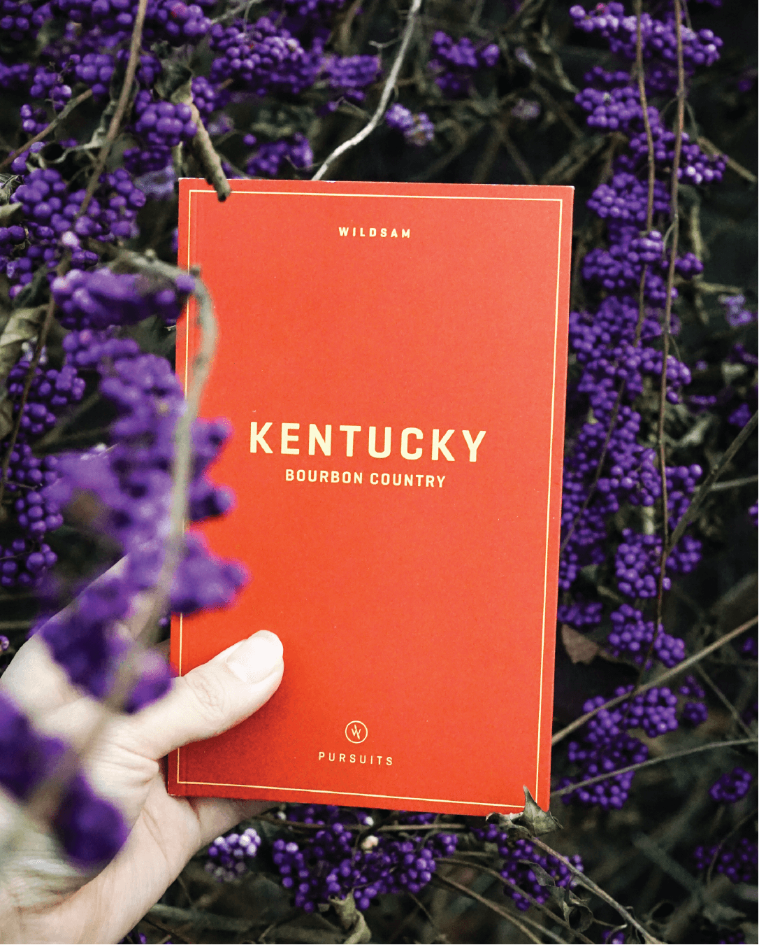 Kentucky Bourbon Country Field Guide - Southern Crafted