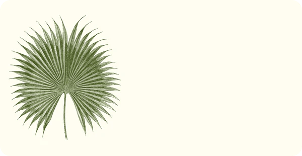 Palm Monarch Cards - Southern Crafted
