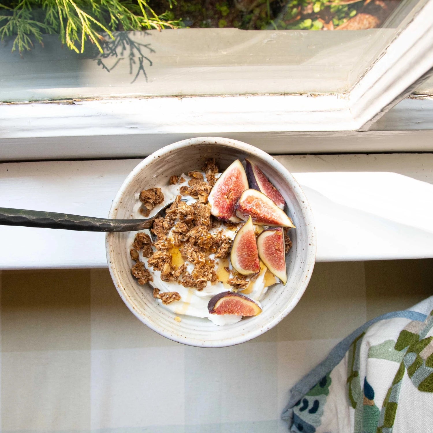 Breakfast Bowl with Figs