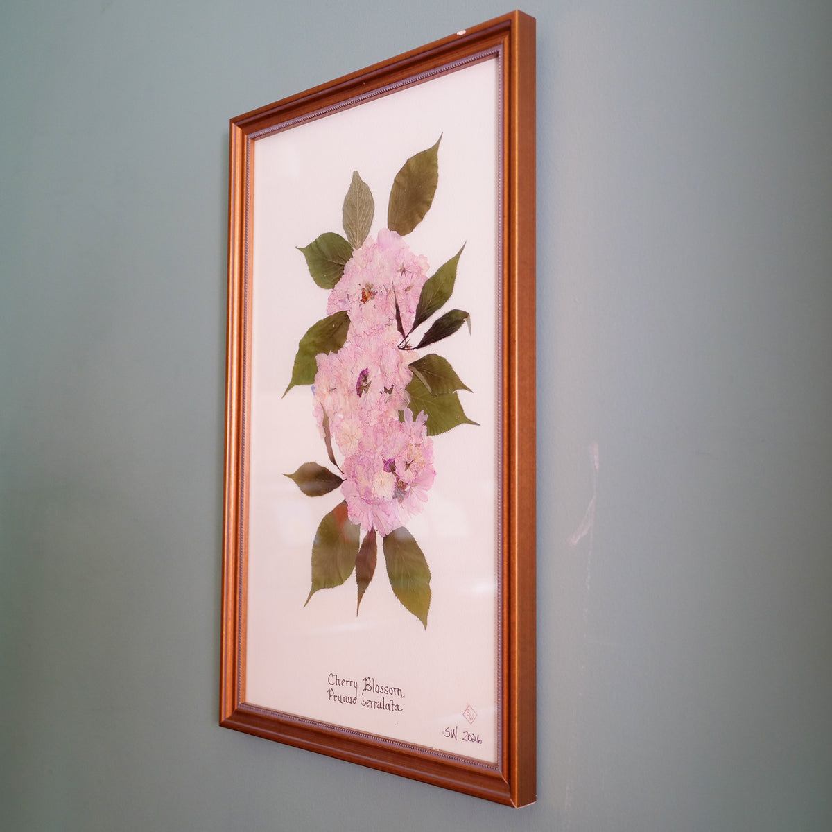 Cherry Blossom Pressed Botanical
