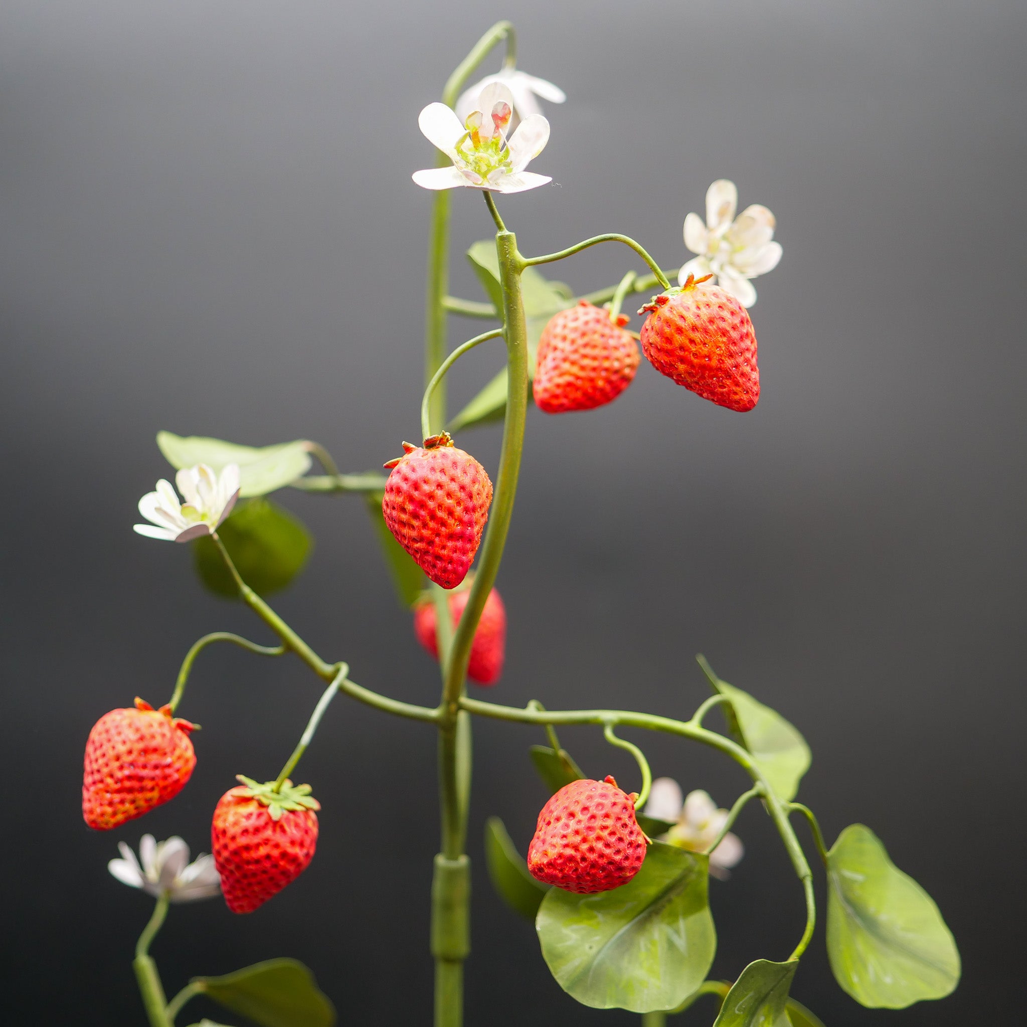 Tole Sculptural Flower - Strawberry Bush