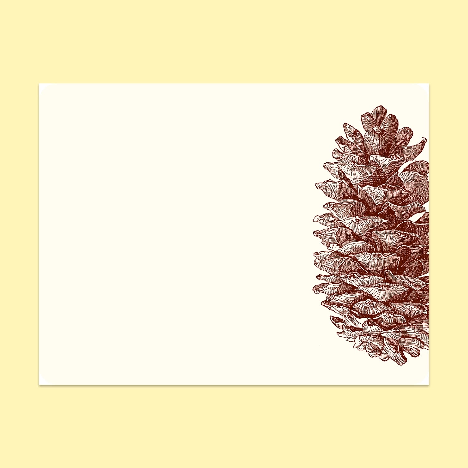 Pinecone Notes