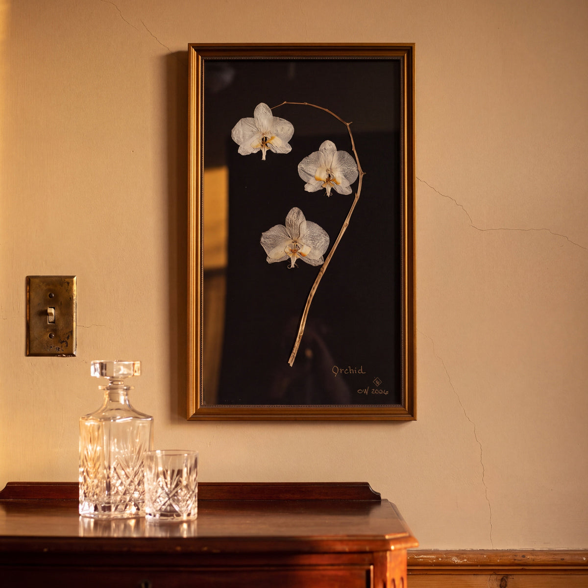 Pressed Botanical Orchid