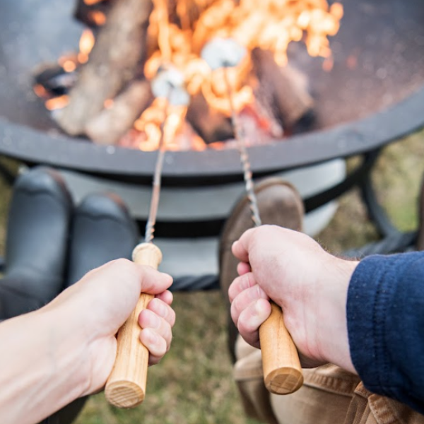 SmokeLESS Wood Burning Fire Pit