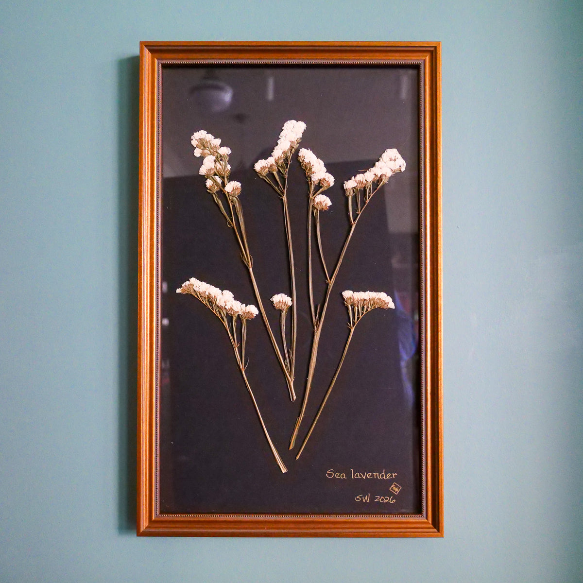 Pressed Botanical Sea Lavender on Black