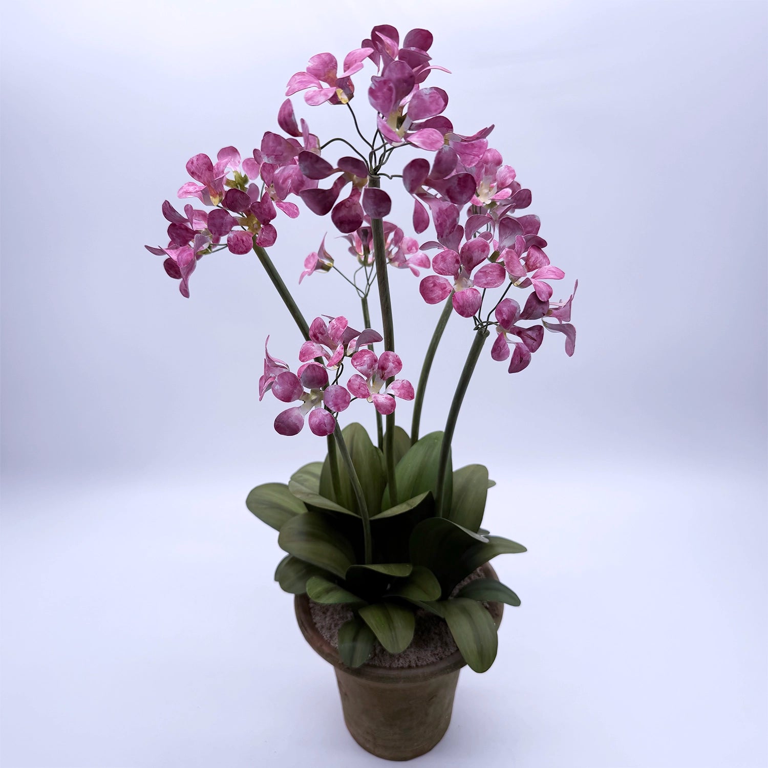 Tole Sculptural Flower -- Two-Stem Primula