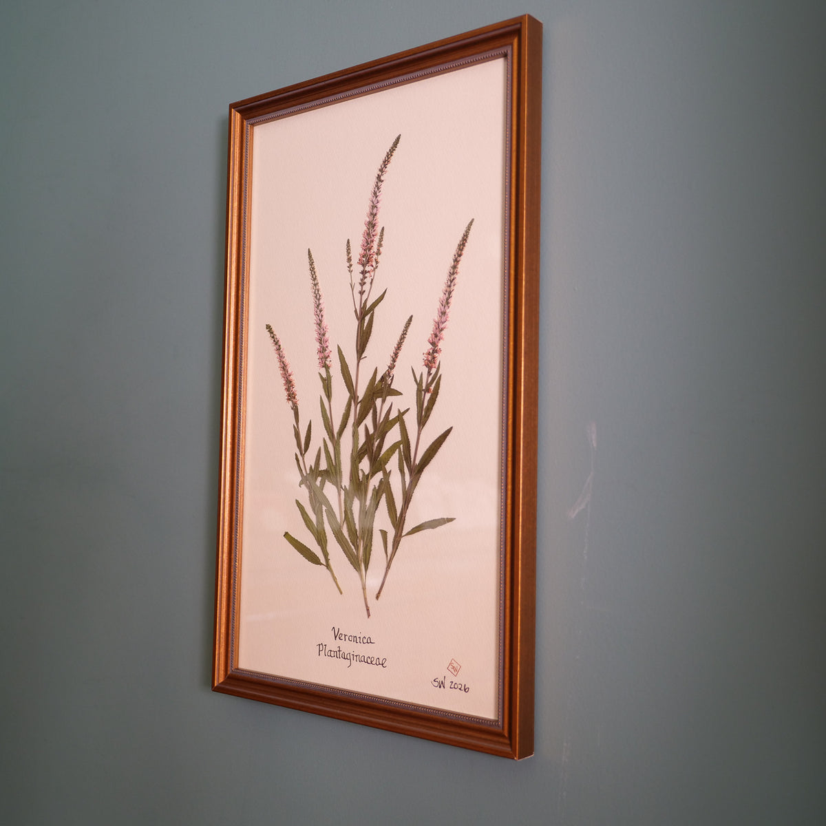 Veronica Pressed Botanical