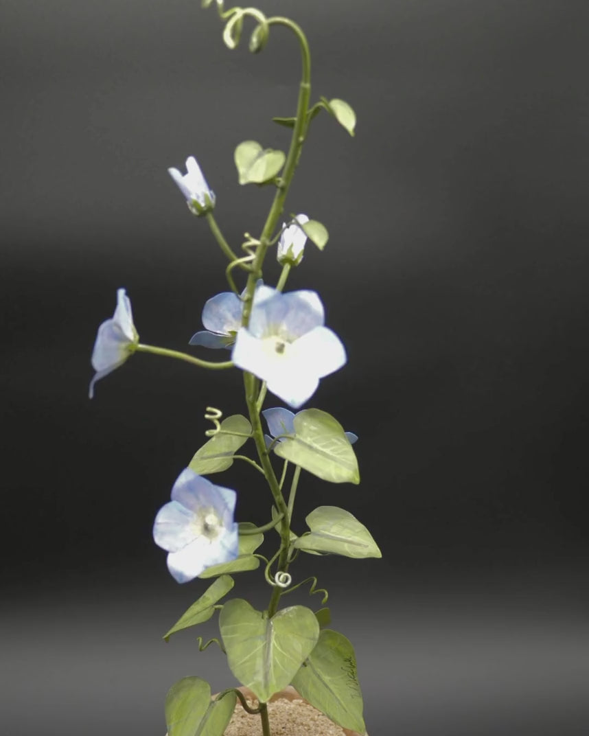 Tommy Mitchell Morning Glory in Clay Pot | Southern Crafted